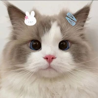 Enrique Razon's avatar